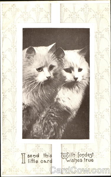 I Send This Little Card With Fondest Wishes True Cats