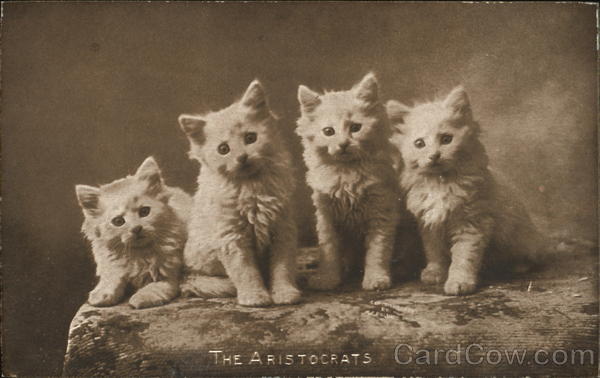The Aristocrats Cats