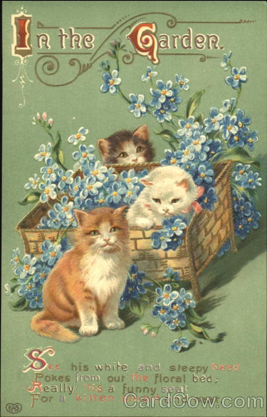 In The Garden Cats