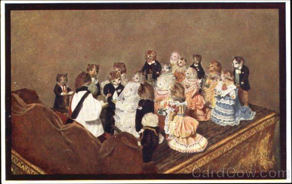 The Kittens Wedding Cats