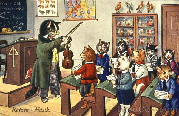 Katzen Musik Cats