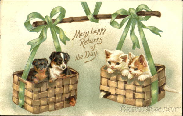 Many Happy Returns Of The Day Cats