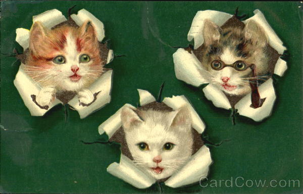Kittens in Wrapping Paper Cats