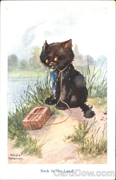 Back To The Land Cats