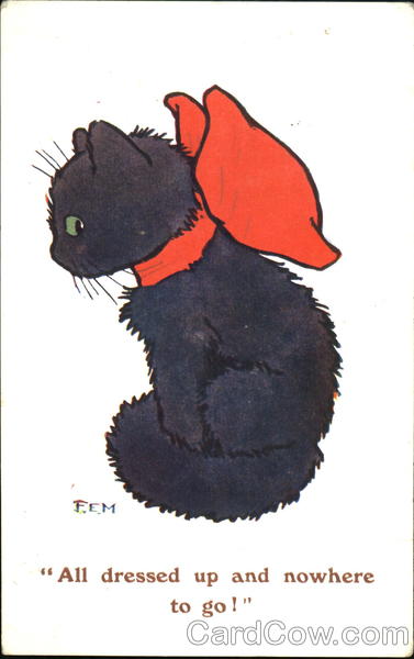 All Dressed Up And Nowhere To Go! Cats