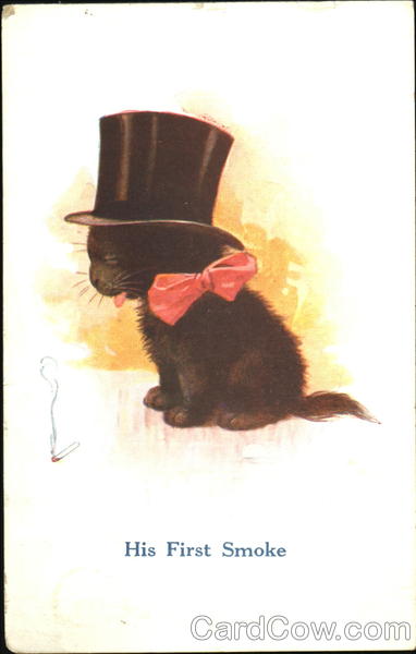 His First Smoke Cats