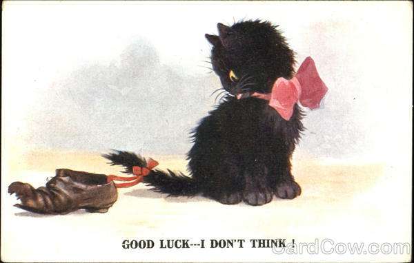 Good Luck I Don't Think! Cats