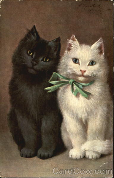 Black Kitten with White Kitten in Green Bow Cats