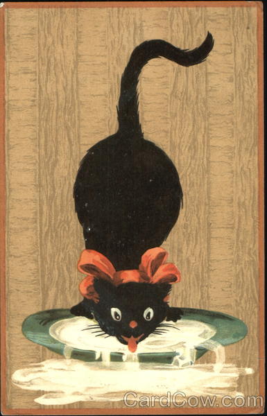 Cat drinking milk Cats