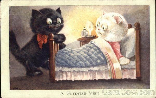 A Surprise Visit Cats