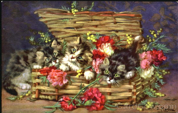 Kittens in Basket Cats