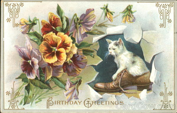 Birthday Greetings Cats