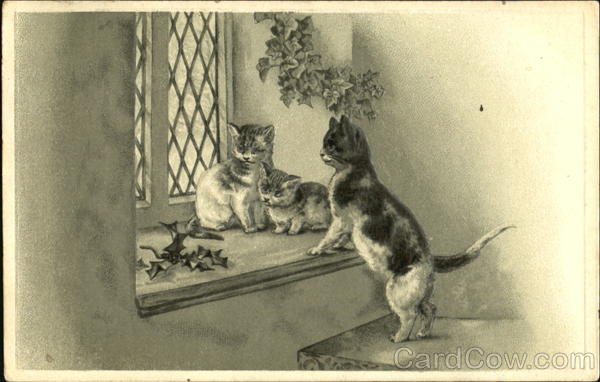 Cats in Window Sill