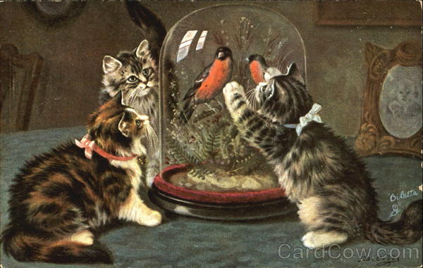 Why Don't You Sing? Cats