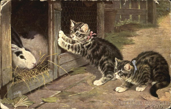 Claiming Acquaintance Cats