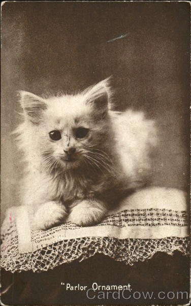 Parlor Ornentd Cats