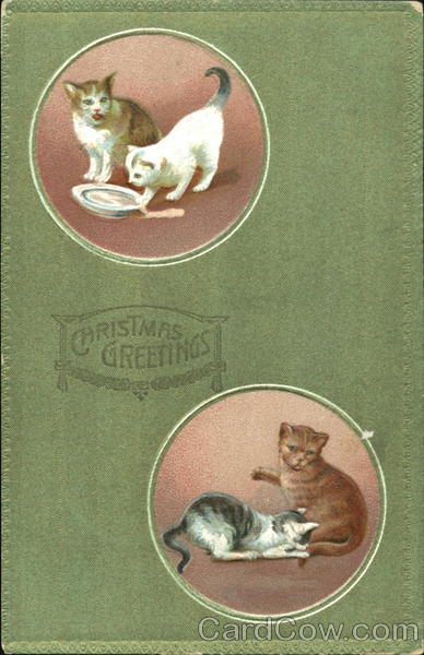 Christmas Greetings Cats