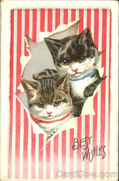 Best Wishes Cats