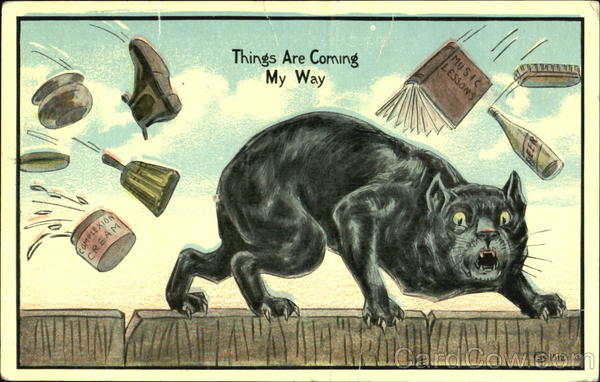Things Are Coming My Way Cats