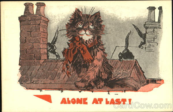 Alone At Last! Cats