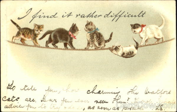 I Find A Rather Difficult Cats