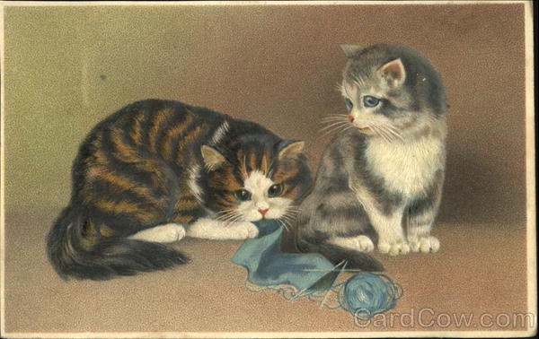 You Are Welcome Cats