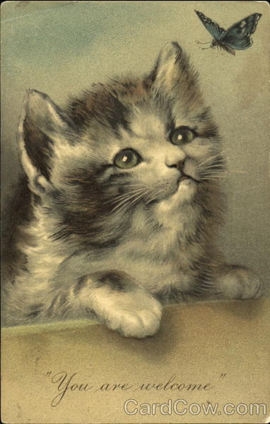 Kitten with Butterfly Cats