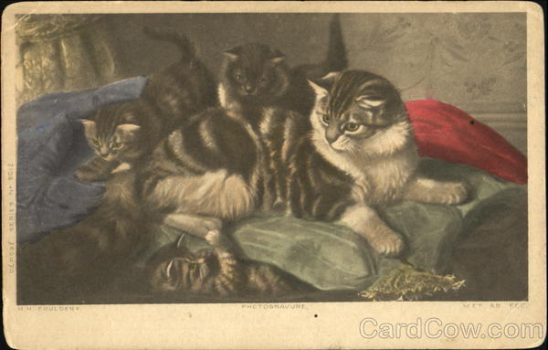 Cat with Kittens on Couch Cats