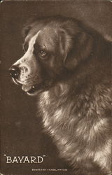 Bayard Postcard