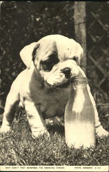 Why Don't They Remember The Drinking Straws Postcard