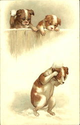 Dogs in Snow Ball Fight Postcard