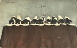 Stock #178113 Thumbnail