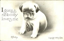 I Guess Nobody Loves Me Postcard