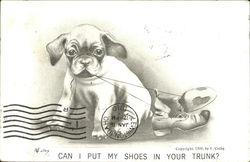 Can I Put My Shoes In Your Trunk? Postcard