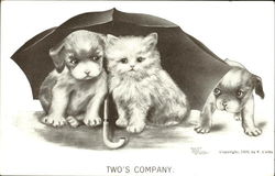 Two's Company Dogs Postcard Postcard