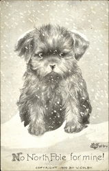 No North Pole For Mine! Postcard