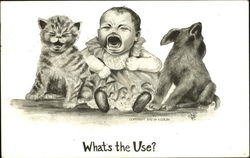 What's The Use Dogs Postcard Postcard