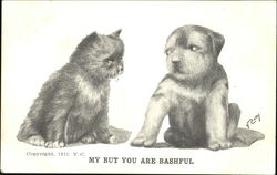 My But You Are Bashful Dogs Vincent V. Colby Postcard Postcard