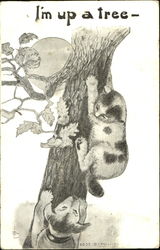 I'm Up A Tree Postcard