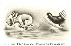 I Don't Know Where I'm Going But I'm On My Way Postcard