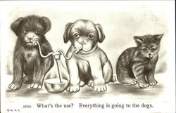 What's The Use? Everything Is Going To The Dogs Postcard