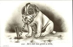 All I Did Was Growl A Little Postcard