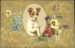 Stock #178232 Thumbnail