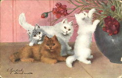 Kitchens on Porch Cats Postcard Postcard