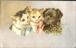 Kittens and Puppy Cats Postcard Postcard