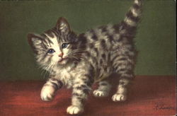 A gray stripped kitten with blue eyes, posing Postcard