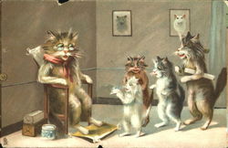 Humorous Cats Postcard