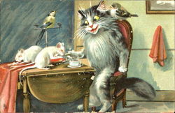 Humorous Cats Postcard Postcard