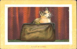 A Cat In A Bag Postcard