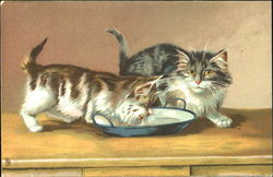 Stock #178326 Thumbnail